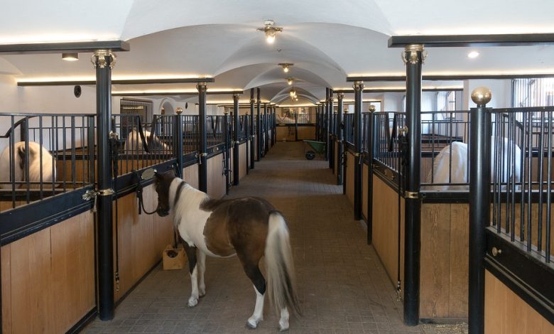 4 Reasons Why You Should Invest in an Equine Property