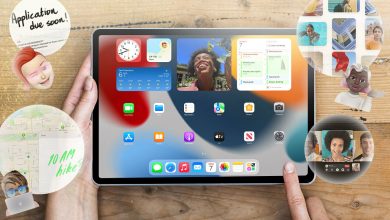 Best Streaming Platforms for iPad Owners