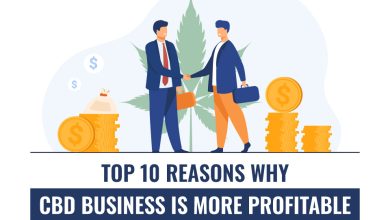 Top 10 Reasons Why CBD Business is More Profitable Than Other Businesses?