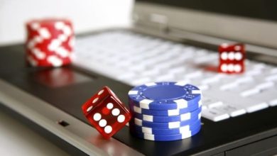 The Best Online Casinos Canada Has to Offer According to Casino Zeus