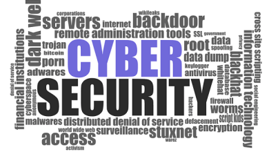 The Future of Cyber Security (1)