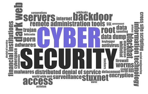 The Future of Cyber Security (1)