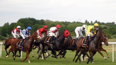 horse-race-g6f1d8b277_640 (1)