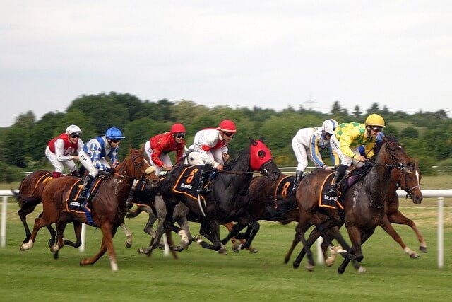 horse-race-g6f1d8b277_640 (1)