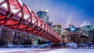 How to Survive Your First Winter in Calgary