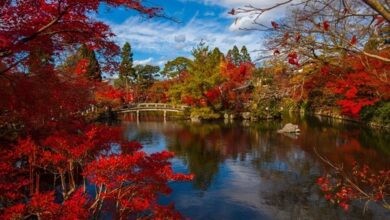 Best Places to Visit in Japan Through The Seasons3